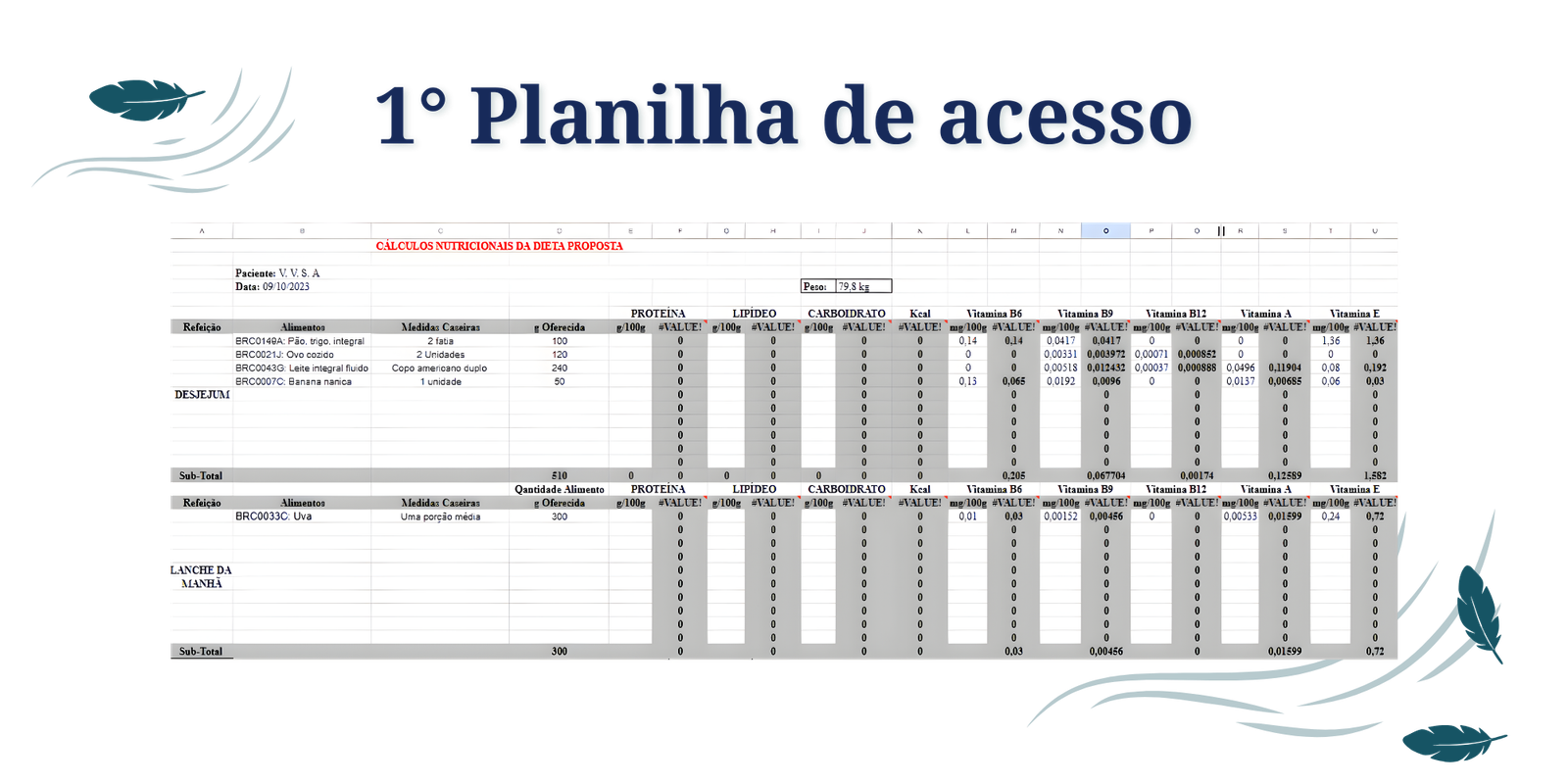 1º planilha de acesso, usada no início do projeto